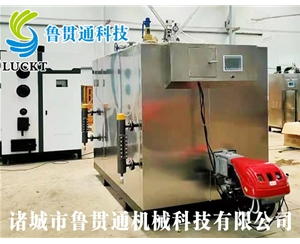 1噸燃氣（油）蒸汽發(fā)生器 現(xiàn)貨供應(yīng)，工廠直銷，規(guī)格型號眾多，可來電咨詢