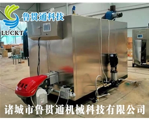 1噸燃氣（油）蒸汽發(fā)生器 現(xiàn)貨供應(yīng)，工廠直銷，規(guī)格型號眾多，可來電咨詢
